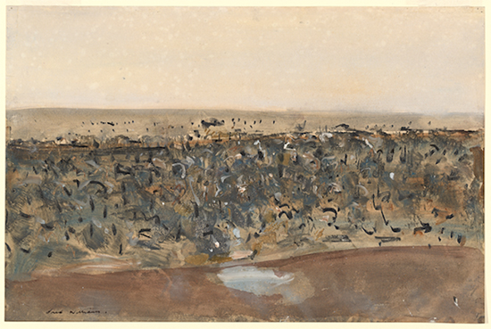 Fred Williams Pond in the You Yangs 1962 National Gallery of Victoria