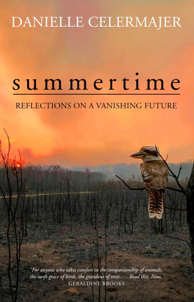 Alice Bishop reviews &#039;Summertime: Reflections on a vanishing future&#039; by Danielle Celermajer