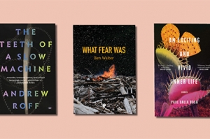 Anthony Lynch reviews &#039;The Teeth of a Slow Machine&#039; by Andrew Roff, &#039;What Fear Was&#039; by Ben Walter, and &#039;An Exciting and Vivid Inner Life&#039; by Paul Dalla Rosa