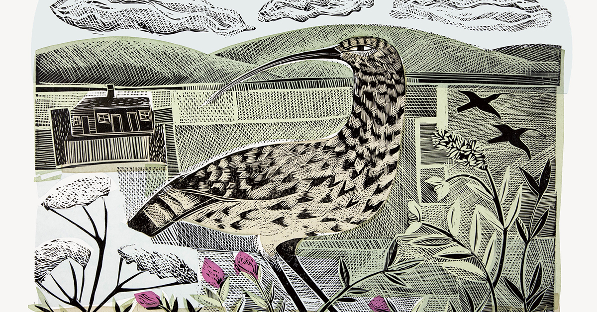 Andrew Fuhrmann reviews 'English Pastoral: An inheritance' by James Rebanks