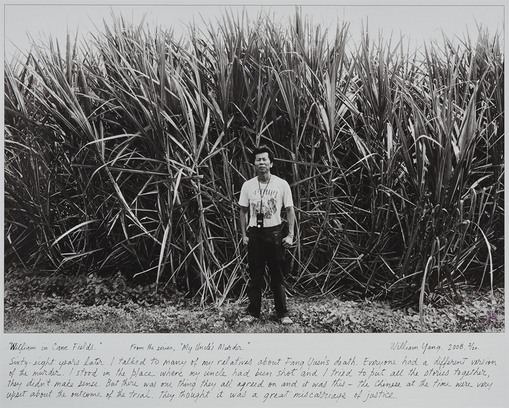 William Yang, Australia, 1943, William in Cane Fields