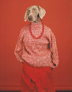 William Wegman