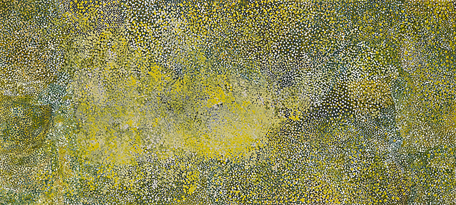 Emily Kam Kngwarray, Kam 1991, National Gallery of Victoria