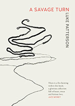 A Savage Turn Luke Patterson