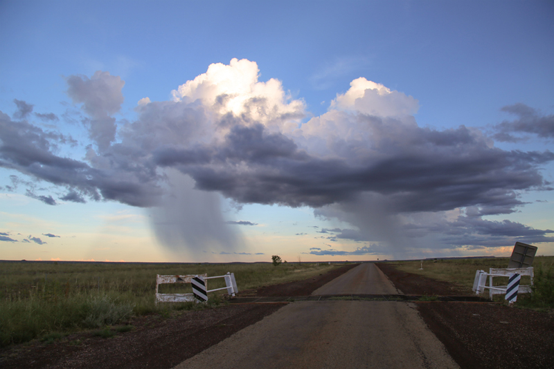 Photograph by Brenda. L Croft for the cover of the August issue of ABR