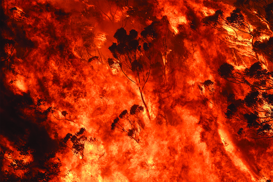 Gospers Mountain bushfire. NSW, 2019 (photograph by Nick Moir)