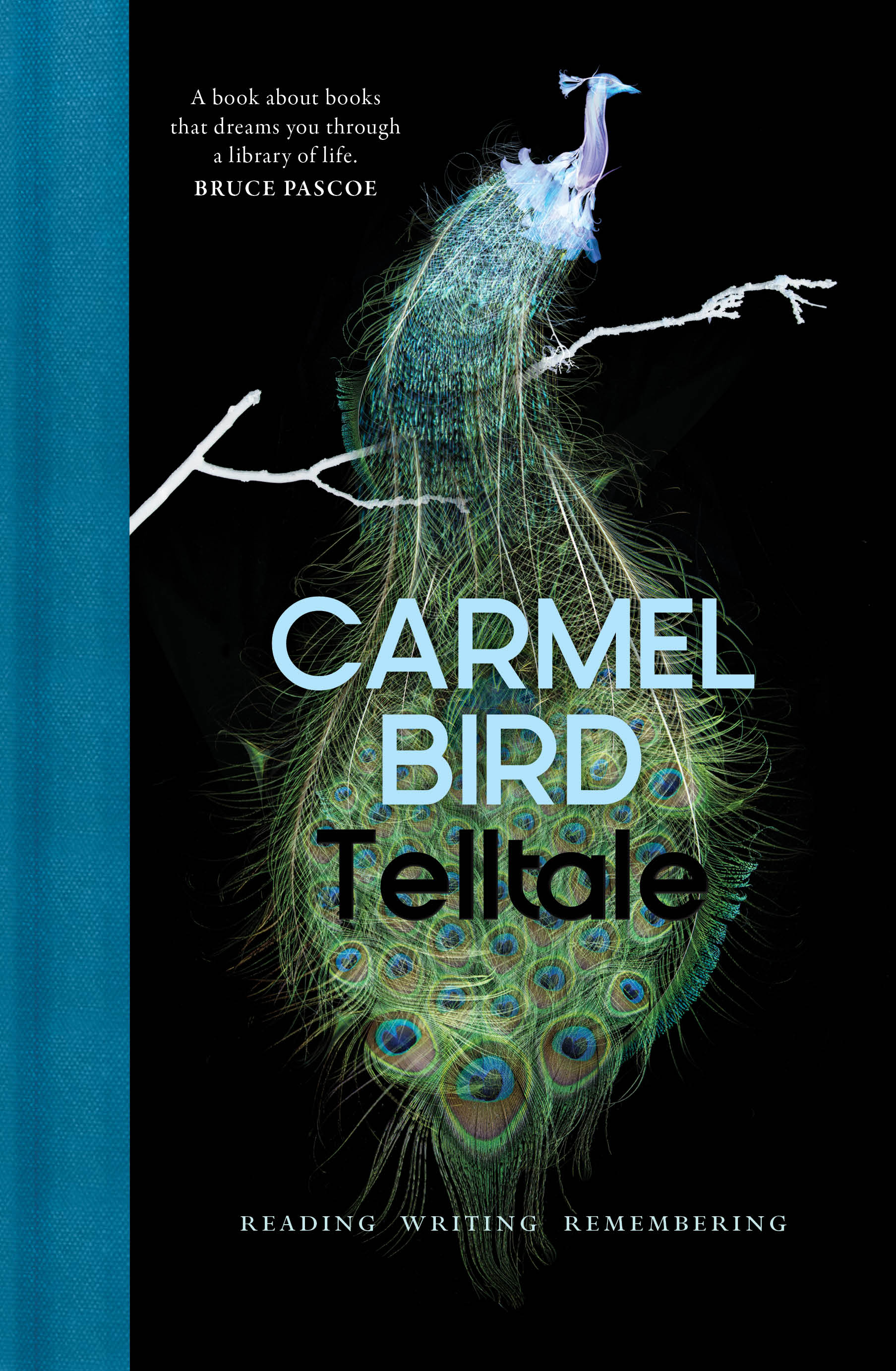 Telltale by Carmel Bird