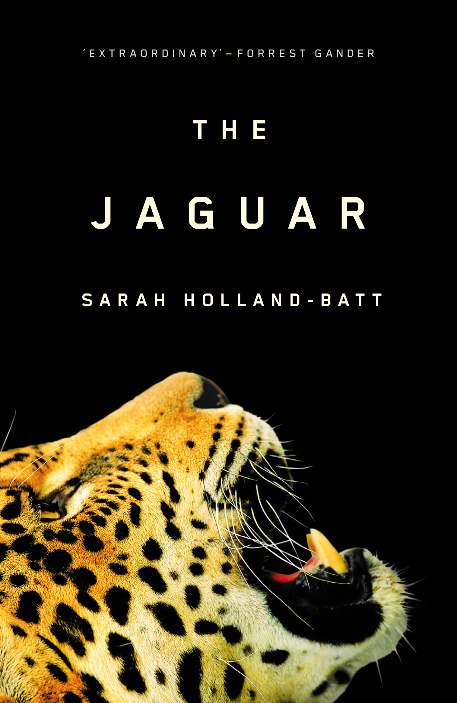 The Jaguar by Sarah Holland-Batt