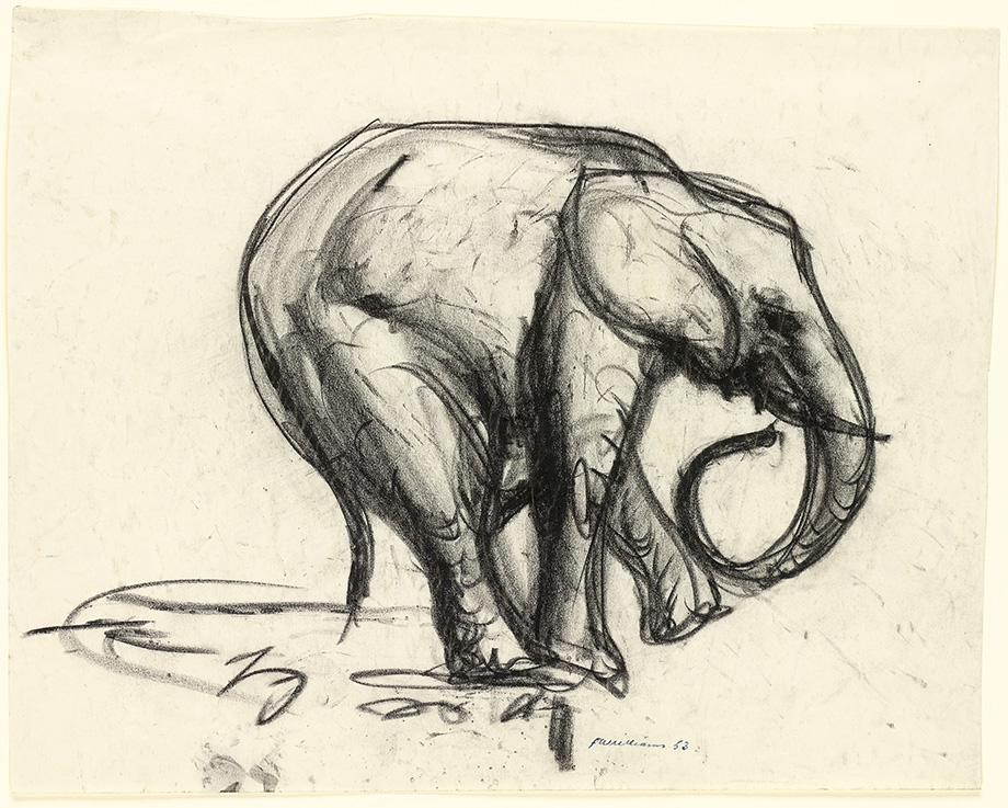 Fred Williams, Elephant, 1953 (National Gallery of Victoria, Melbourne Presented by the Art Foundation of Victoria by Mrs Lyn Williams, Founder Benefactor, 1988 © Estate of Fred Williams)