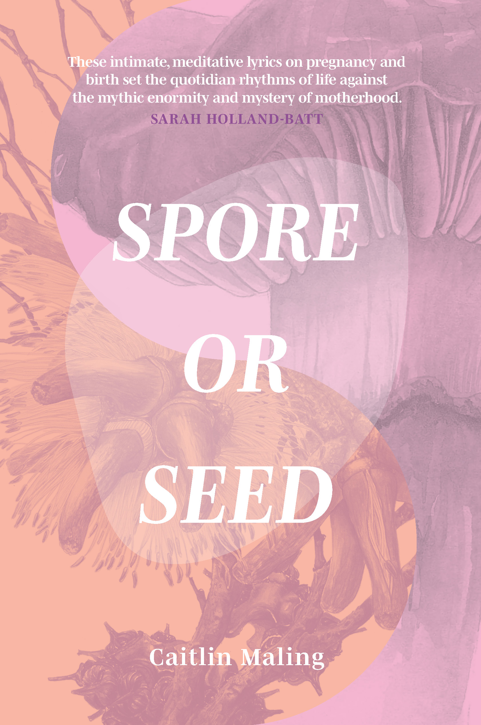 Spore or Seed