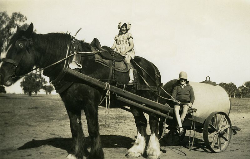  A Furphy water cart hitched to an Australian Draught Horse. A small girl is riding on the horse's back holding the reins, and a small boy is resting on the left shaft also holding the reins, 1939 (Wikimedia Commons)