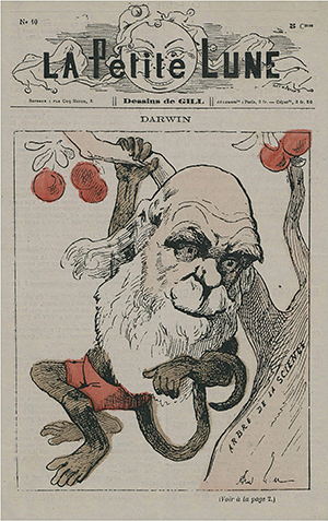 Darwin as a monkey on the cover of La Petite Lune ABR Online