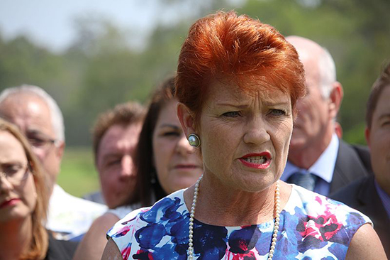 Pauline Hanson 2017 01 550