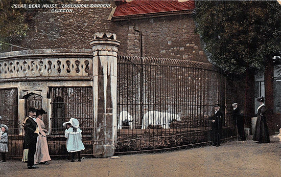 Postcard of a Victorian Zoo ABR Online October 2017