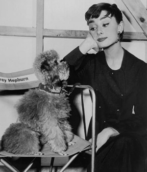 Audrey Hepburn and her pet poodle on the set of Sabrina