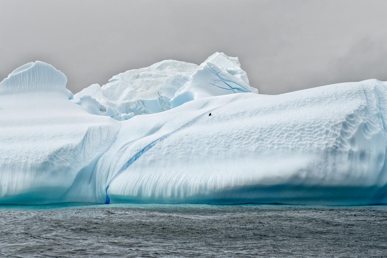 A lone penguin on an iceberg in the Southern Ocean (photo by Christopher Michel/Flickr)