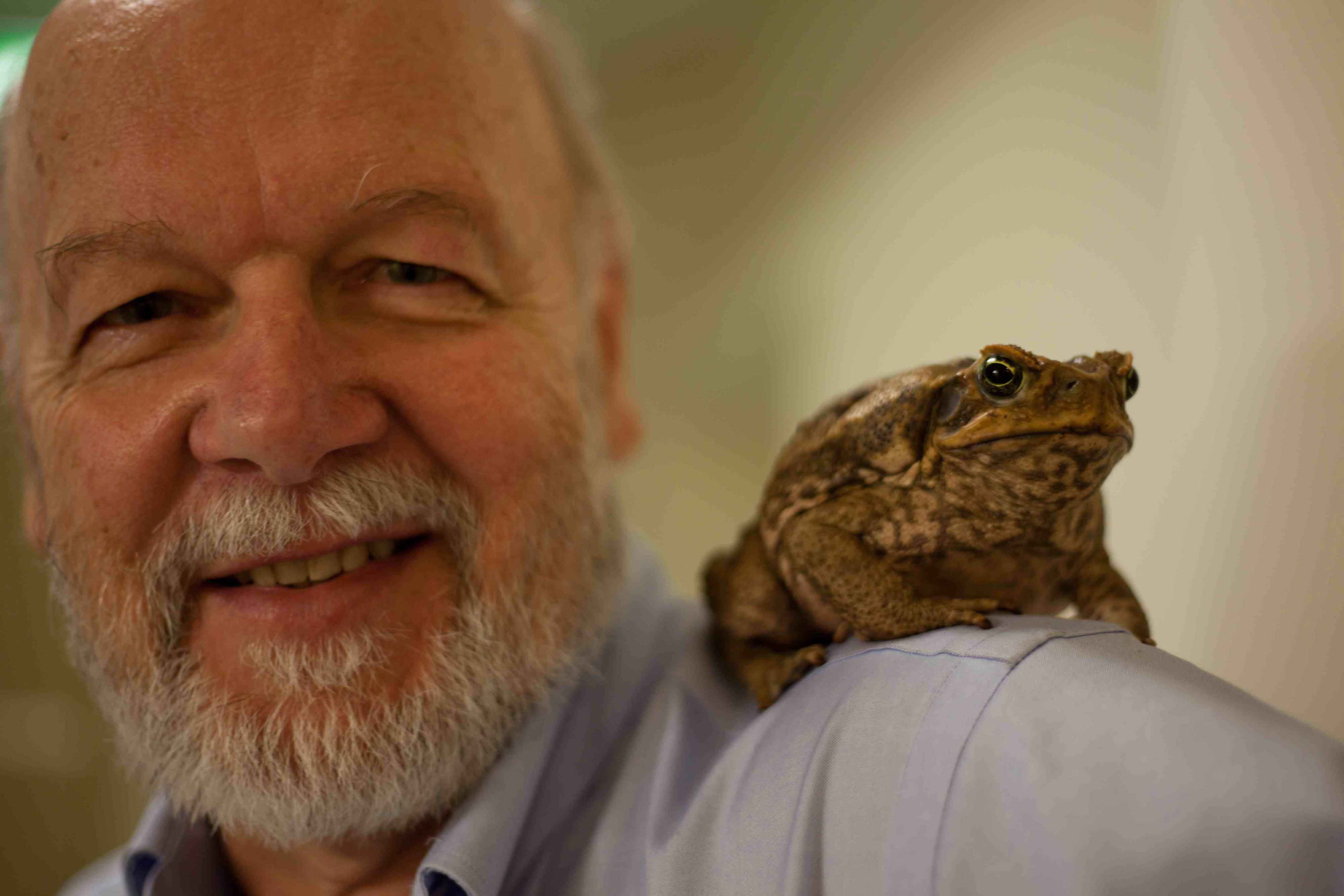Author Rick Shine with a cane toad (photo by Terri Shine)