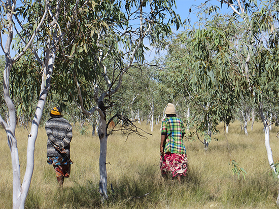 Local women leading a search for bush foods (Photo supplied by Kevin Brophy)