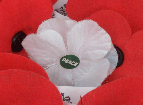 Anzac poppies