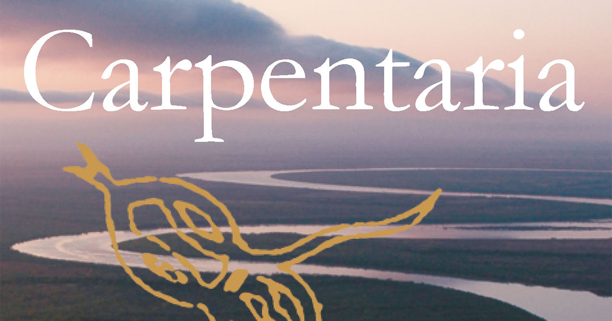 carpentaria alexis