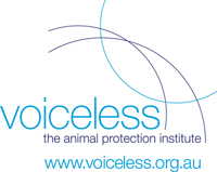 voiceless institute