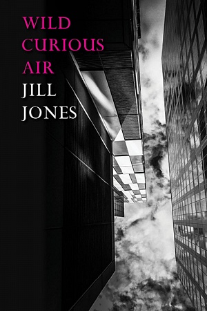 Wild Curious Air by Jill Jones