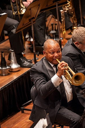 Wynton Marsalis in All Rise (photograph by Nico Photography). 