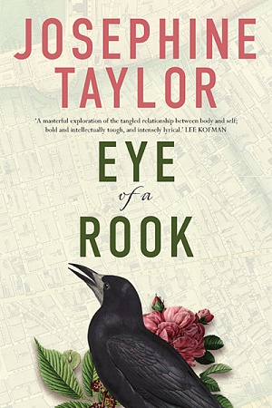 Eye of a Rook by Josephine Taylor