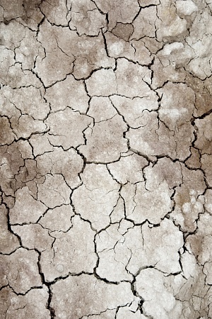 Avon River during drought (photograph by Alison Pouliot)