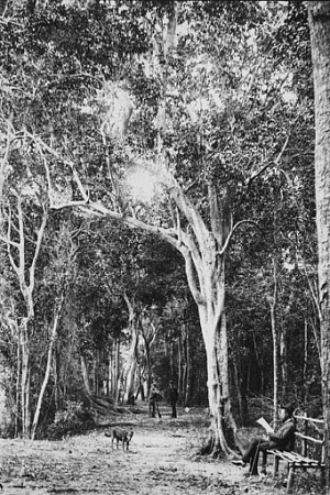 Park in Bundaberg