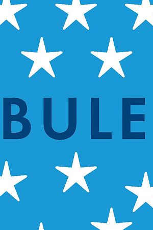 James Curran reviews ‘Turbulence: Australian foreign policy in the Trump era’ by Clinton Fernandes