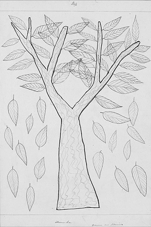 Ilwempe Among Trees ABR Online October 2017