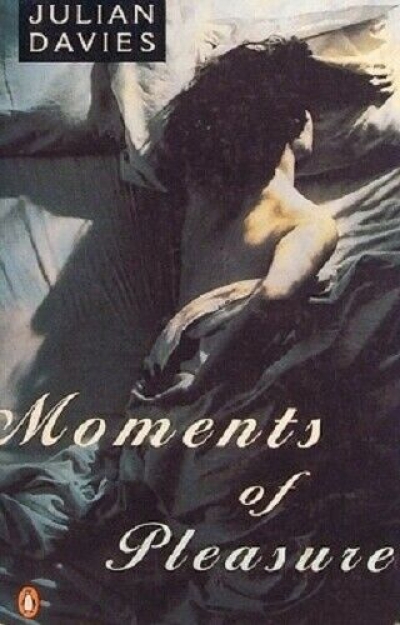 John Hanrahan reviews &#039;Moments of Pleasure&#039; by Julian Davies
