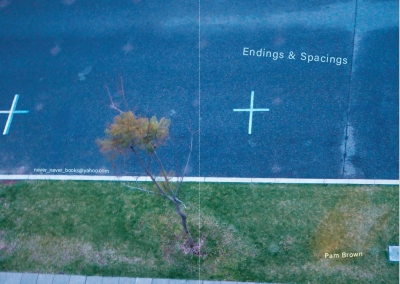 Abigail Fisher reviews &#039;Endings &amp; Spacings&#039; by Pam Brown and &#039;&gt;&gt;&gt; &amp; || (accelerations and inertias)&#039; by Dan Disney