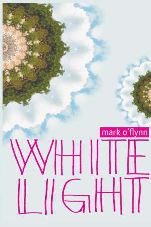 Alice Bishop reviews &#039;White Light&#039; by Mark O&#039;Flynn