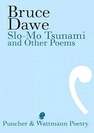 Martin Duwell reviews &#039;Slo-Mo Tsunami and Other Poems&#039; by Bruce Dawe