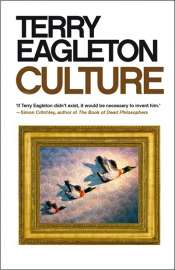 Andrew Fuhrmann reviews 'Culture' by Terry Eagleton