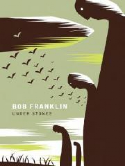 Christine Piper reviews &#039;Under Stones&#039; by Bob Franklin