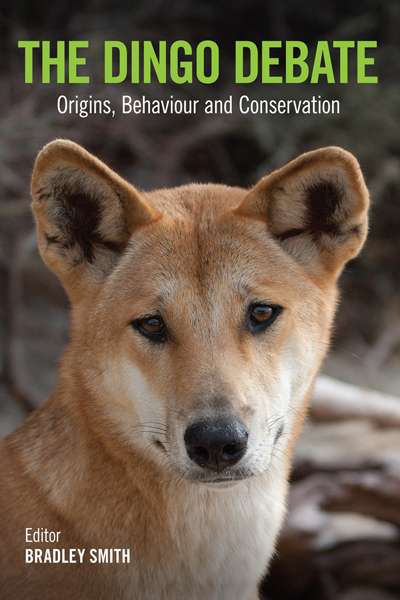 Peter Menkhorst reviews &#039;The Dingo Debate&#039; edited by Bradley Smith