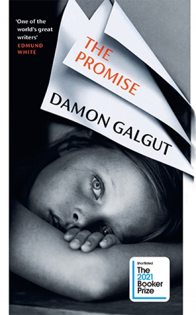Marc Mierowsky reviews &#039;The Promise&#039; by Damon Galgut