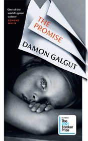 Marc Mierowsky reviews 'The Promise' by Damon Galgut