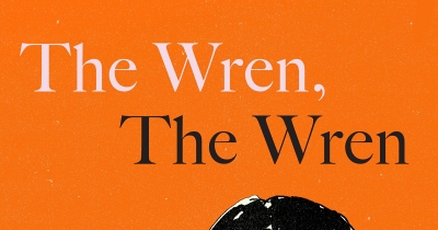 Diane Stubbings reviews &#039;The Wren, The Wren&#039; by Anne Enright