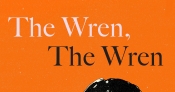 Diane Stubbings reviews 'The Wren, The Wren' by Anne Enright