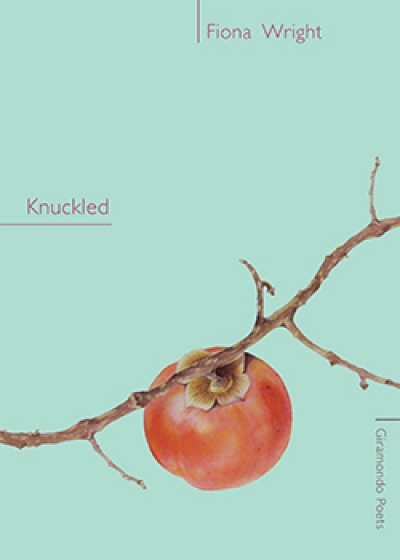 Rose Lucas reviews &#039;Knuckled&#039; by Fiona Wright