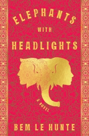 Declan Fry reviews 'Elephants with Headlights' by Bem Le Hunte