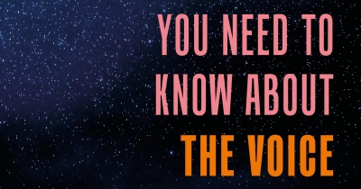 Bronwyn Fredericks reviews &#039;Everything You Need to Know about the Voice&#039; by Megan Davis and George Williams