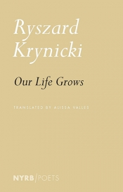 Benjamin Ivry reviews 'Our Life Grows' by Ryszard Krynicki, translated by Alissa Valles