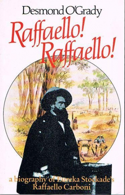 Robert Pascoe reviews &#039;Raffaello! Raffaello!&#039; by Desmond O&#039;Grady