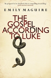 Louise Swinn reviews 'The Gospel According To Luke' by Emily Maguire and 'Rosie Little’s Cautionary Tales For Girls' by  Danielle Wood