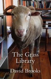 Ben Brooker reviews 'The Grass Library' by David Brooks